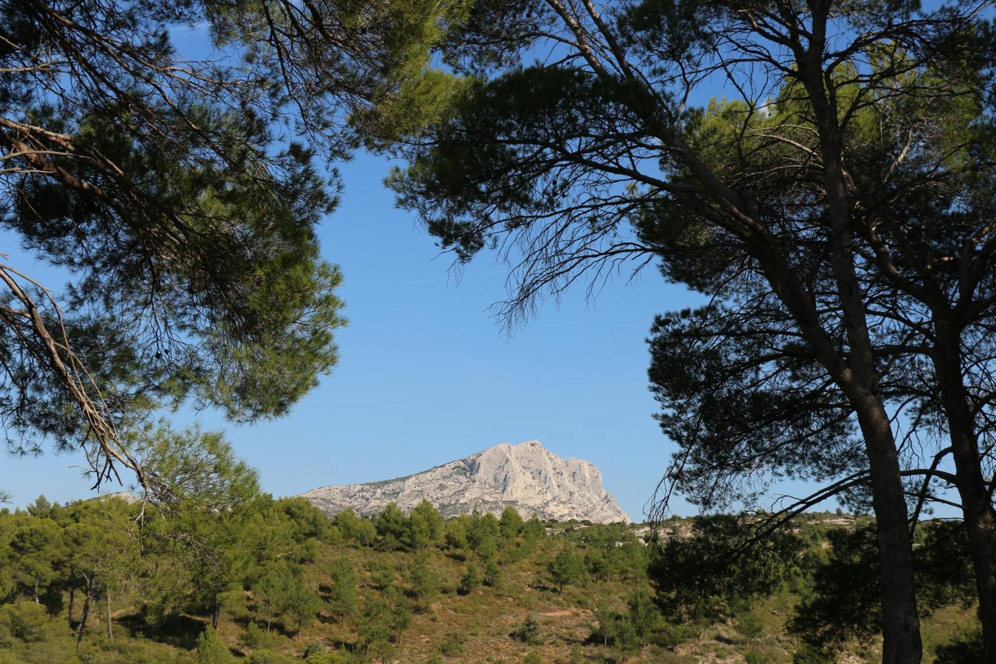 Studio Charmant Au Calme Aix-en-Provence Bagian luar foto
